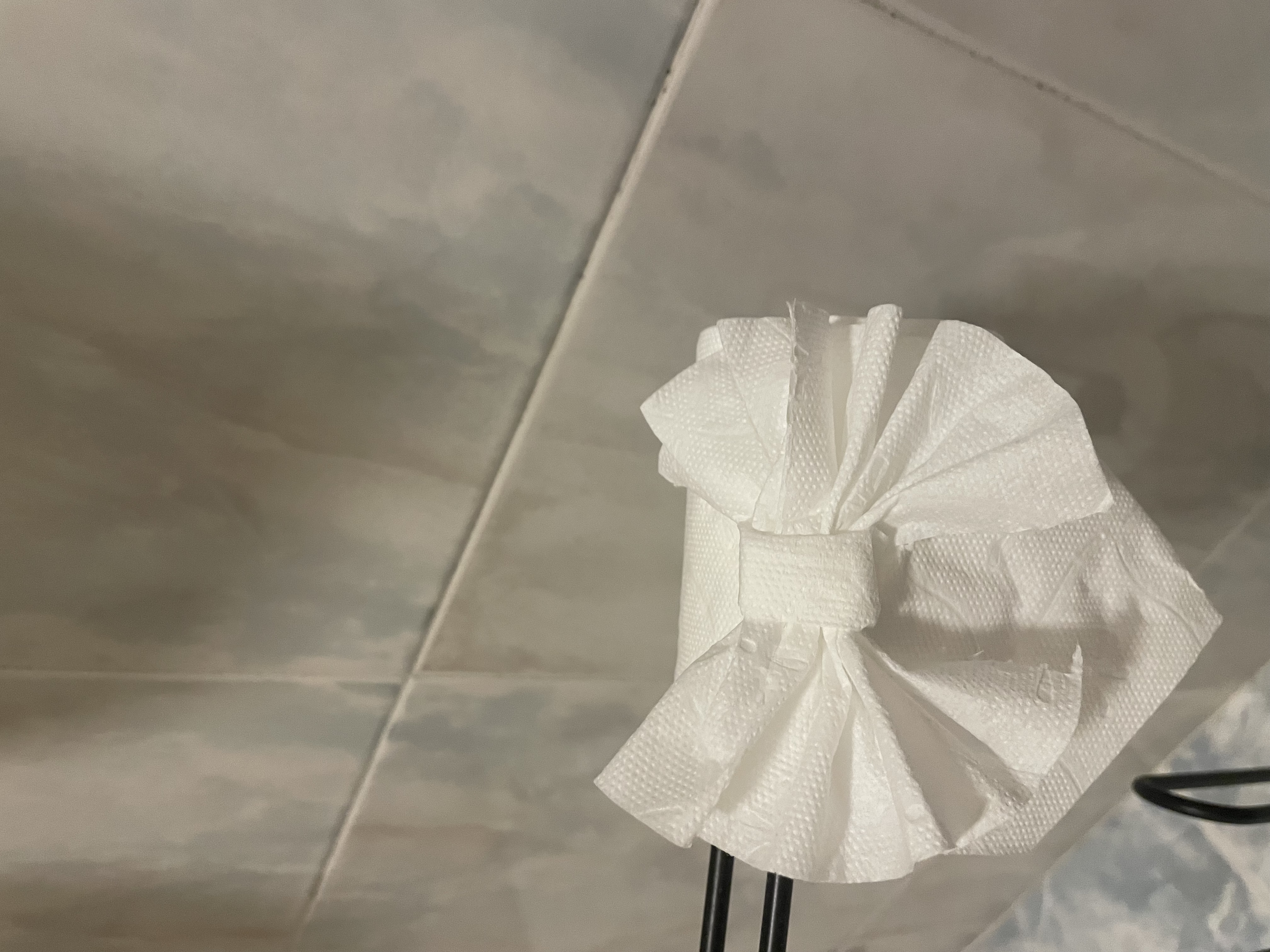 Ana Cruz Cleaning - Portfólio 8